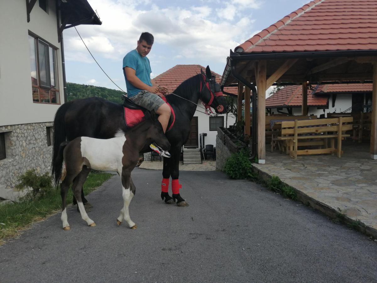 Bed and Breakfast Etno Selo Lelic Valjevo Esterno foto