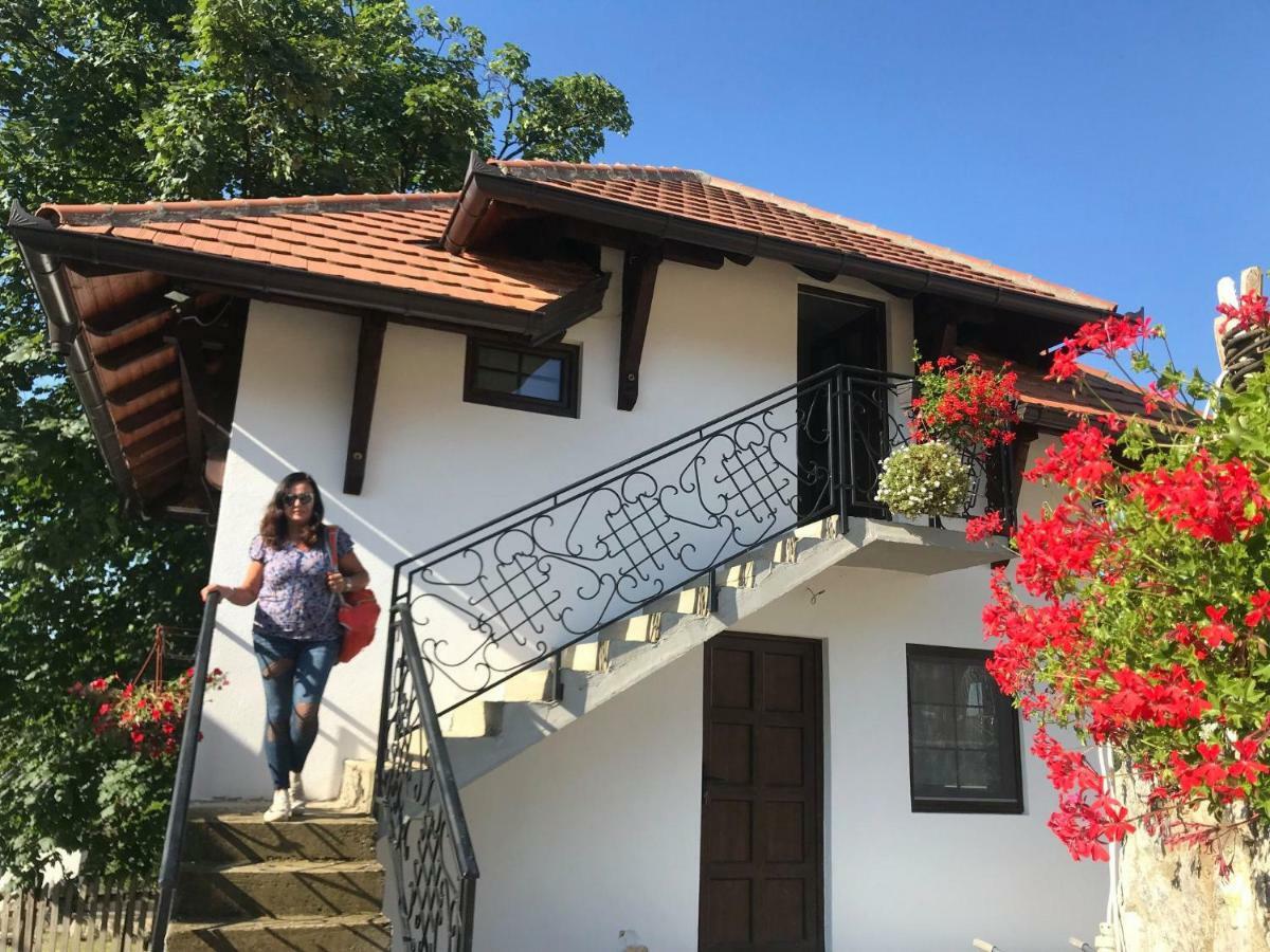 Bed and Breakfast Etno Selo Lelic Valjevo Esterno foto